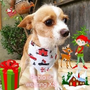 š¶ 3 for $15 * Christmas Snap Dog Bandana